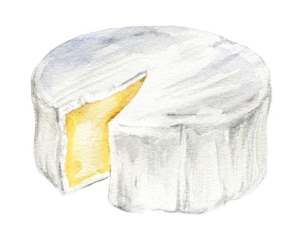 Watercolor camembert cheese round with cutting piece italian and french classic cuisine hand drawn i