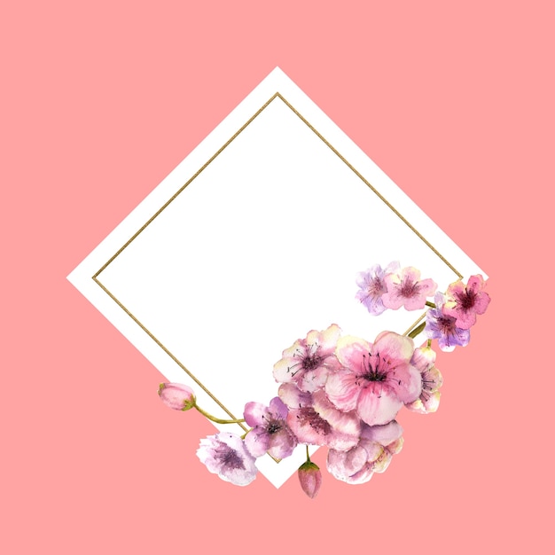 Watercolor cherry blossom, sakura branch with pink flowers in gold frame with pink background