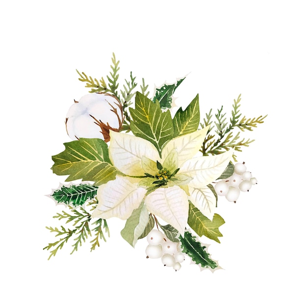 Watercolor christmas composition with poinsettia and cotton flower