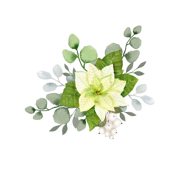 Photo watercolor christmas flowers arrangement white poinsettia branches of spruce and winter greenery