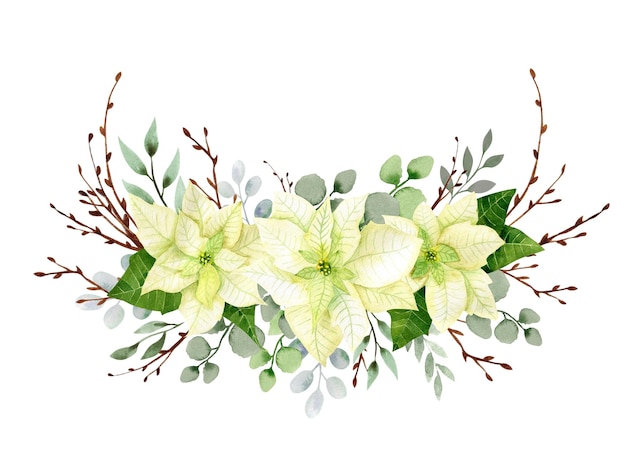 水彩のクリスマスの花の花輪 トウヒと冬の緑の白いポインセチアの枝