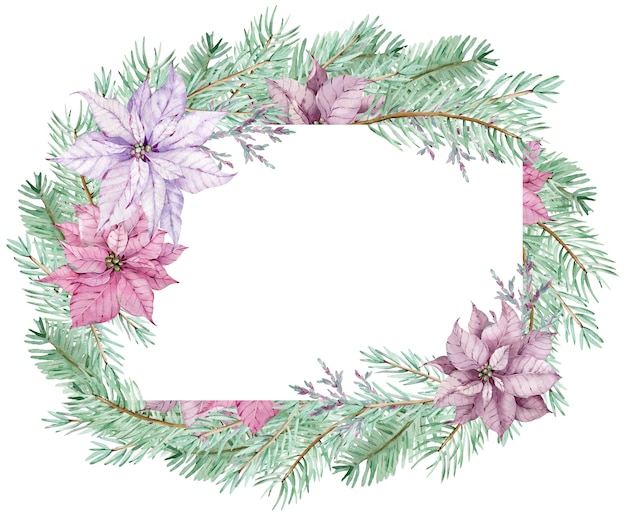 Watercolor Christmas poinsettia frame with pine branches. Winter frame. 