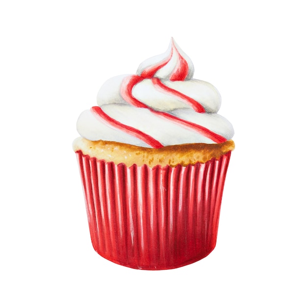 Watercolor Christmas sweet muffin with cream New year hand painting red cupcake isolated on white ba