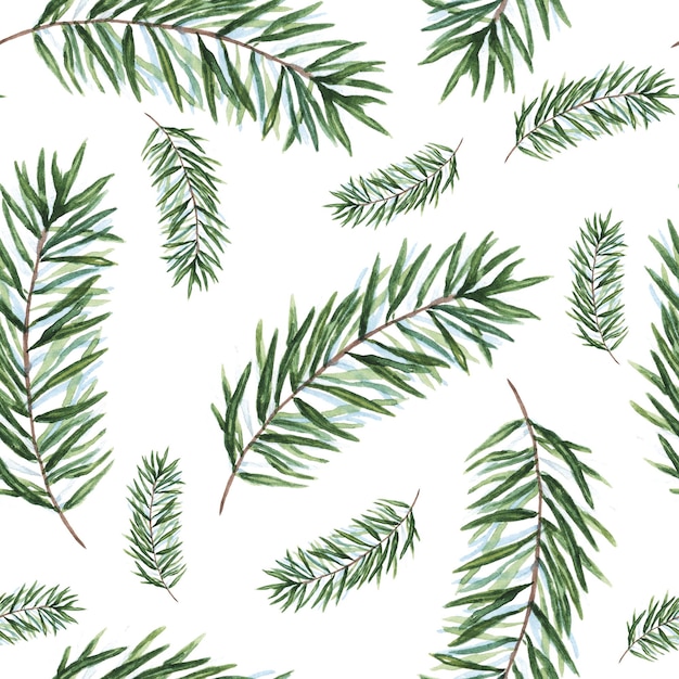 Watercolor Christmas tree branches seamless pattern Hand painted texture firneedle natural elements