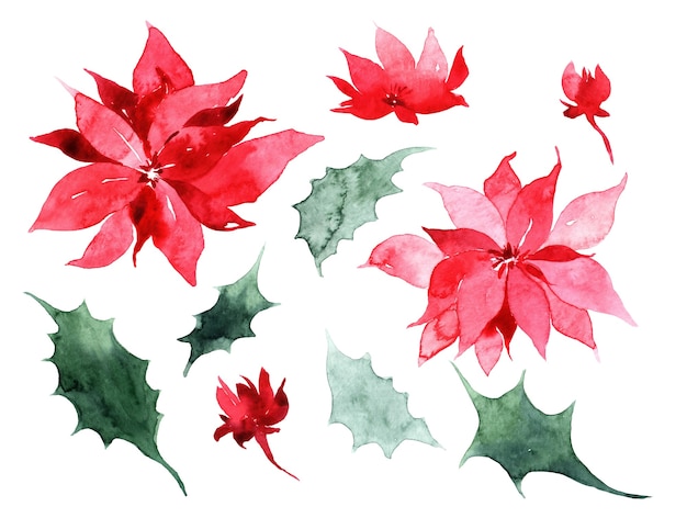 Watercolor Christmas tree, holly and poinsettia