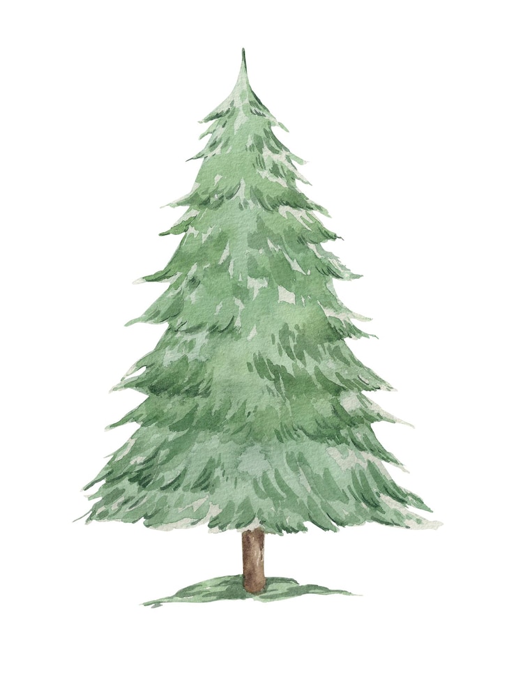 Photo watercolor christmas tree isolated on white background hand drawn illustration sketch christmas and new year design wild forest tree