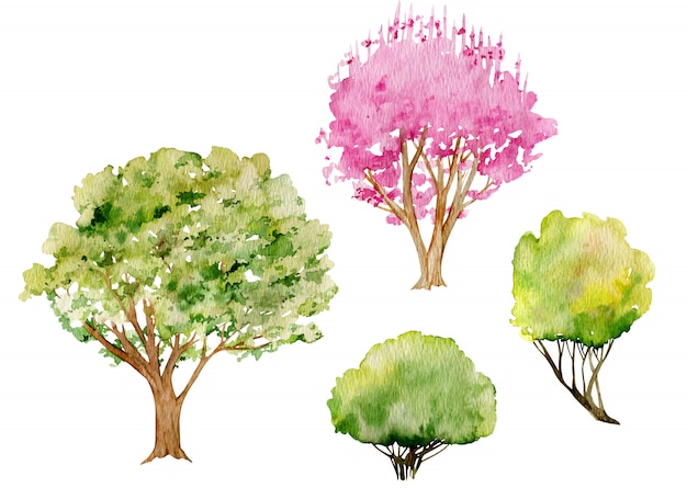 Watercolor clipart of trees and bushes. Cherry pink blossom tree in early spring, fresh green and yellow bushes.