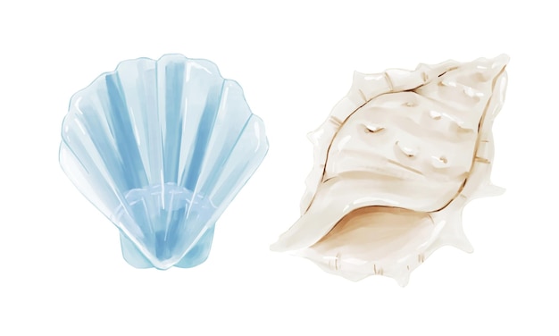 Watercolor clipart with spiked spiral shell glossy blue clam for beach themed designs printables