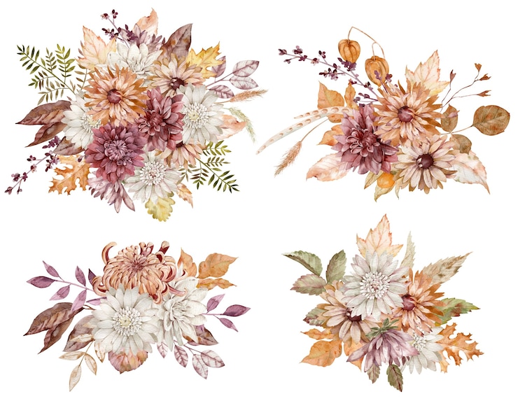 Photo watercolor collection of fall floral bouquets. crimson, white and orange asters and chrysanthemums and autumn leaves isolated on the white background.