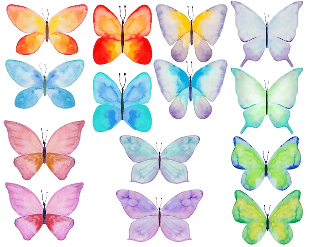 Watercolor colorful butterfly Illustrations set