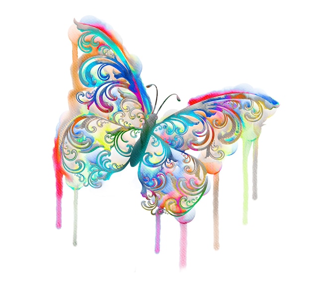 Watercolor Colorful Butterfly