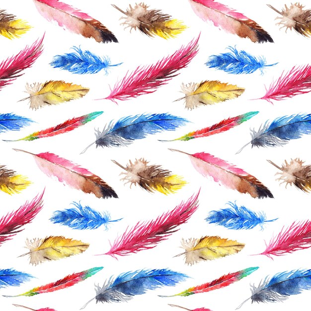 Watercolor colorful feather seamless pattern background texture