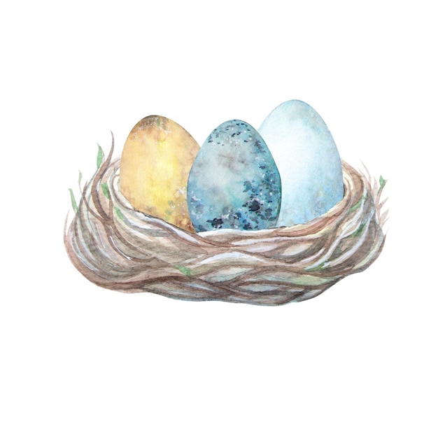 흰색 배경에 고립 된 나무 새 둥지에 수채화 다채로운 3 개의 계란