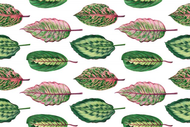 Acquerello colorato foglie tropicali seamless pattern di sfondo.