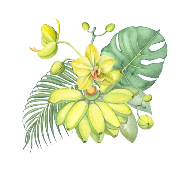 バナナ・パームの葉と黄色いオーキッドの水彩の組成 熱帯の組成