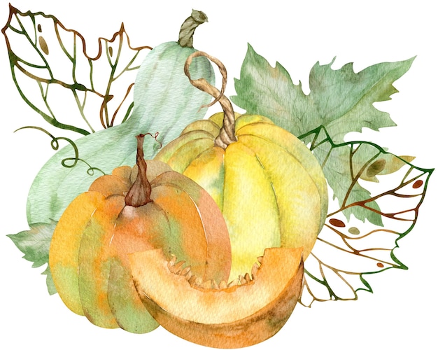 Watercolor composition of colorful pumpkins and silhouette leaves. Thanksgiving day pumpkins.