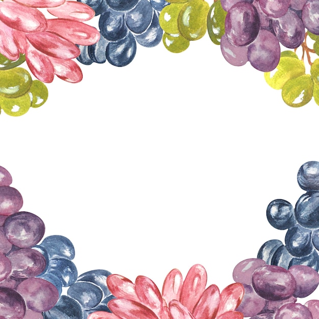 Foto composizione acquerello di uva su sfondo bianco raster può essere utilizzato come elemento per progetti