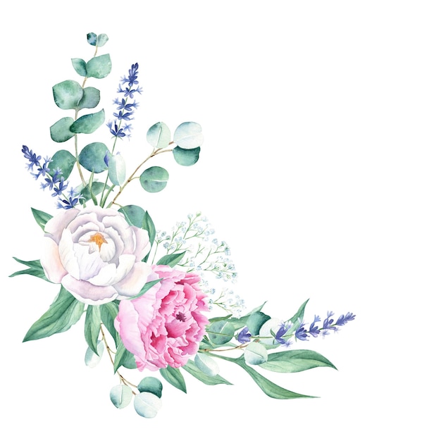 수채화 코너 꽃다발 흰색과 분홍색 모란 라벤더 집소필라 유칼립투스 손으로 그린
