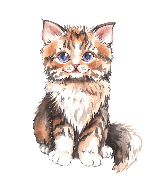 watercolor cute fluffy kitten