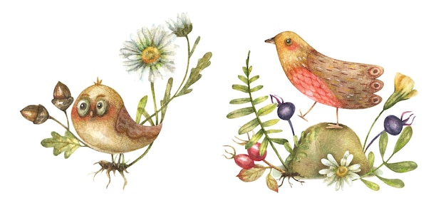 Watercolor cute isolated birds with decorative flowers herbs berries and leaves