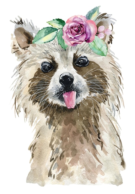 Watercolor cute raccoon