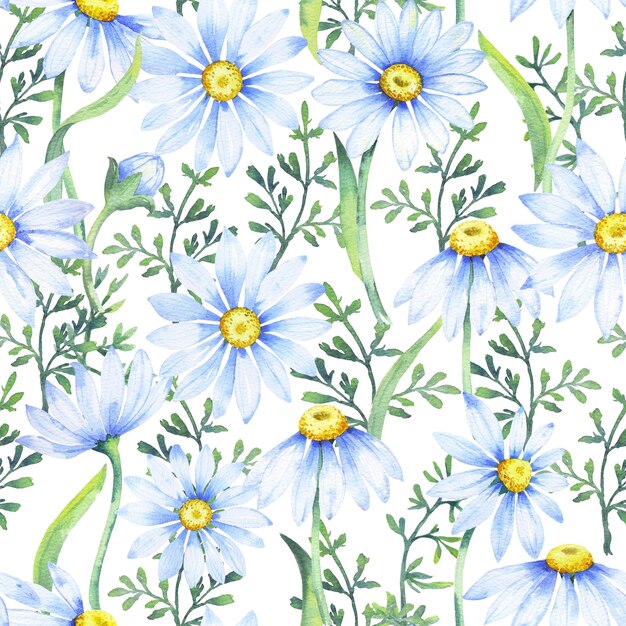 Photo watercolor daisies seamless pattern with watercolor camomile flowers and petals floral pattern with daisies wildflowers summer print