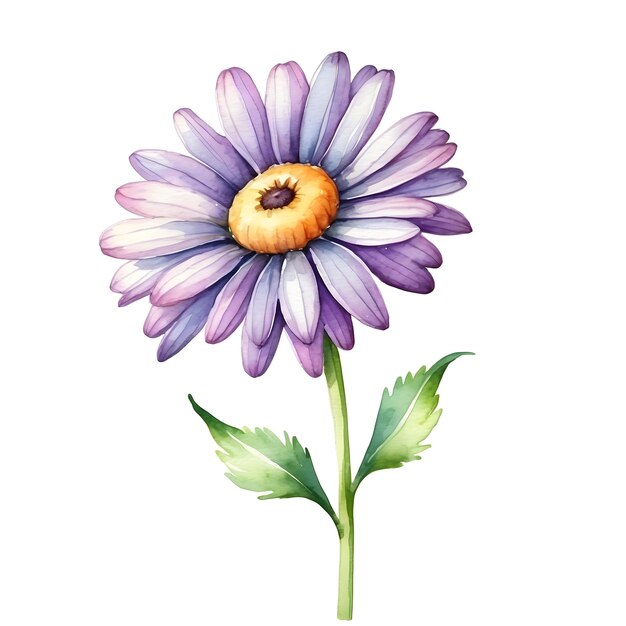 Watercolor Daisy Series Daisy watercolor collection Floral daisy set Daisy painting series Water