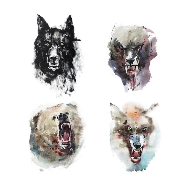 Watercolor drawing of angry looking wolfs and bear. Animal portrait on white background.