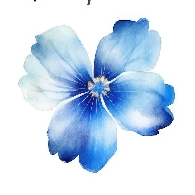 A watercolor drawing of a blue and white flower.