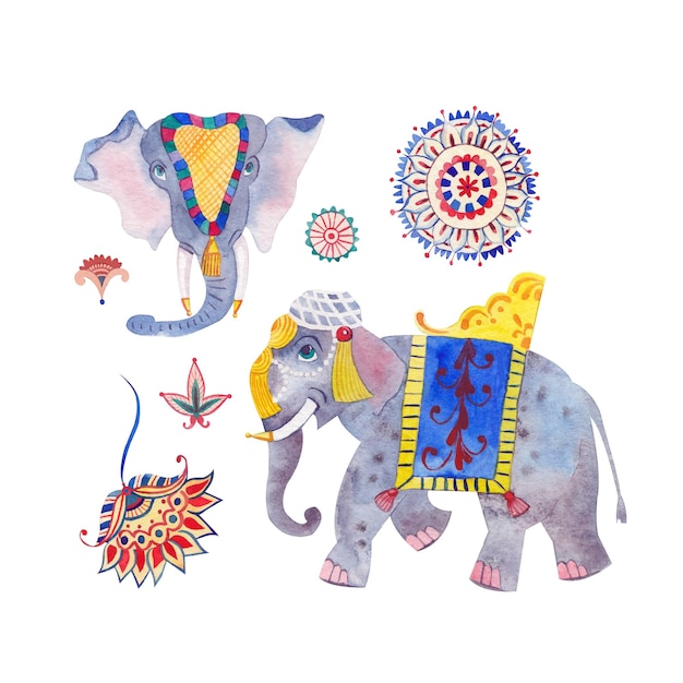 Photo watercolor drawing of indian elephants stylized indian ornaments isolated