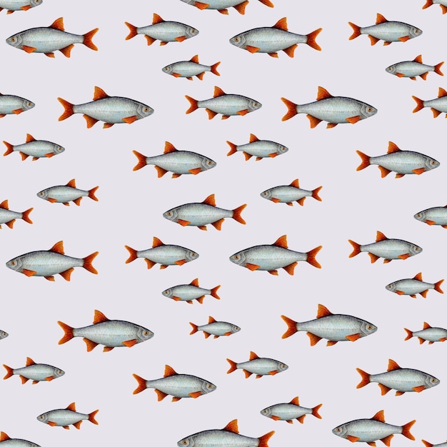 사진 창백한 배경 손으로 그린 다양한 크기의 붉은 지느러미가 있는 물고기의 수채화 그리기 패턴