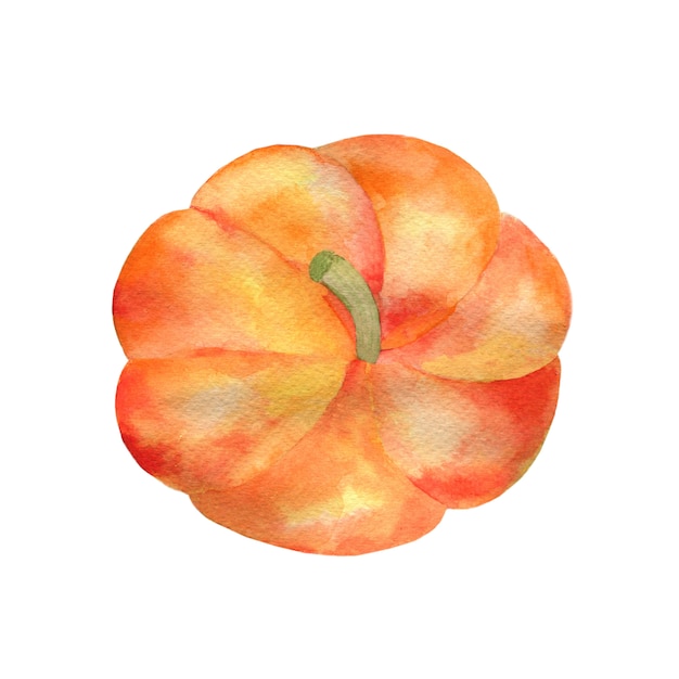 Photo watercolor drawing of pumpkin