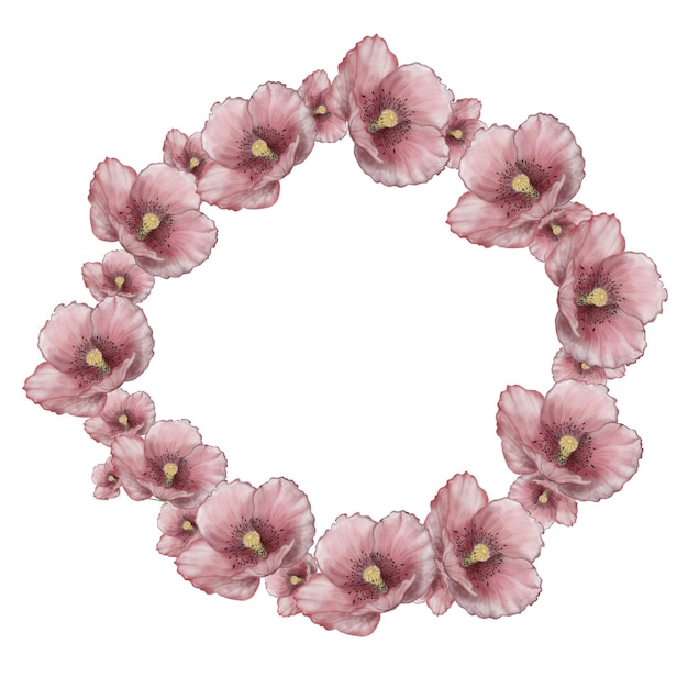 Watercolor drawing round frame of pink poppy flowers isolate on a white background a beautiful