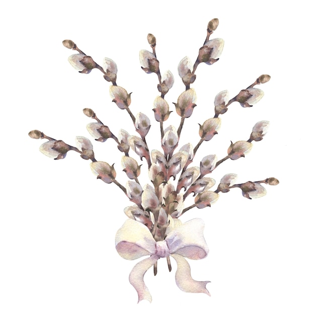 Watercolor easter willow bouquet hand painted willow branch isolated on white background design for