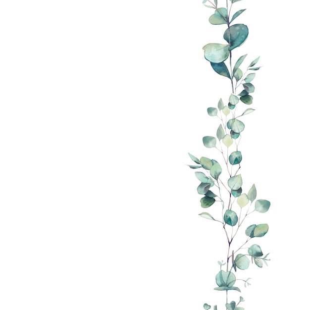 Photo watercolor eucalyptus branches ornament. hand painted floral repeating frame isolated on white background.