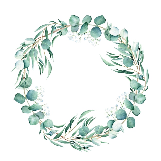 Watercolor eucalyptus and gypsophila round frame wreath isolated on white background hand drawn