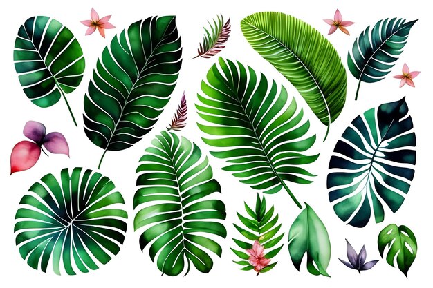 Watercolor exotic plants palm leaves