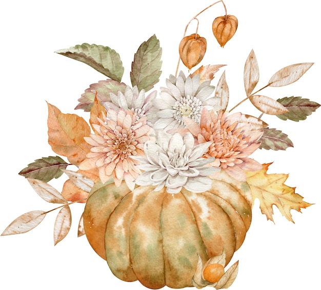 Watercolor fall orange pumpkin decorated with asters, dahlias, fall leaves and physalis isolated on the white background. Autumn arrangement.