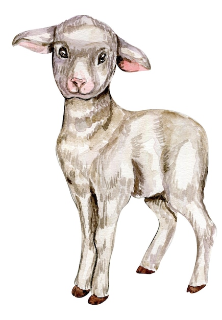 Watercolor farm animals