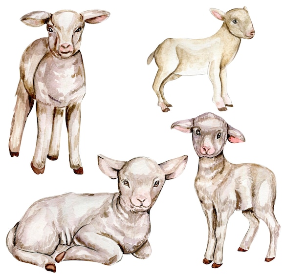 Watercolor farm animals