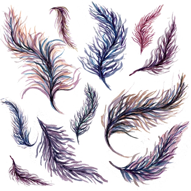 Watercolor feathers seamless pattern