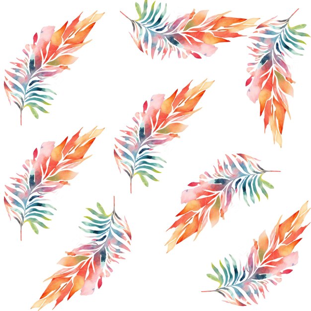 Watercolor feathers on a white background.