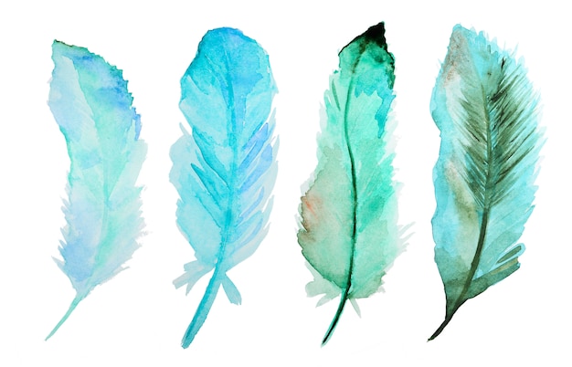 Photo watercolor feathers