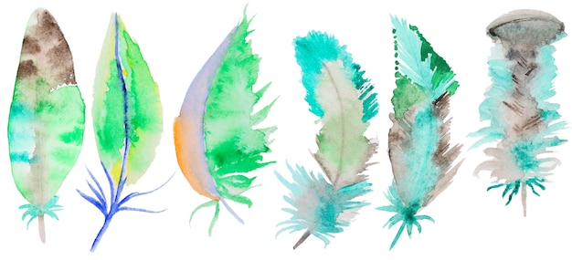 Photo watercolor feathers