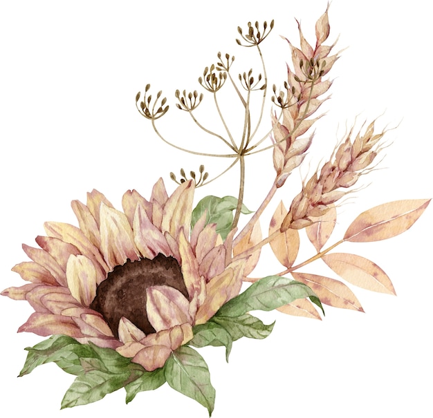 Watercolor floral bouquet. Sunflower, dill, ears of wheat. Thanksgiving illustration. Harvest and fall concept.