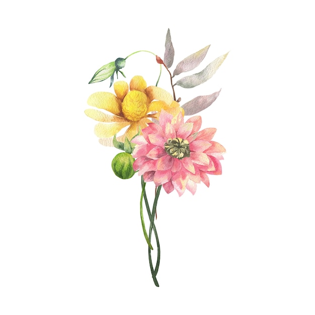 Watercolor floral bouquet.Wild, forest herb, flowers, branches. illustration isolated on white background, green leaves. Hand painted floral elements coleccion.