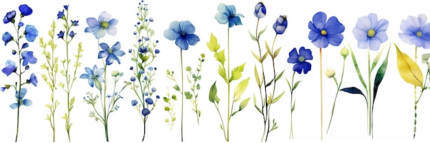 수채화 꽃 그림 꽃의 추상 분기 클립 아트 녹색의 식물 구성 세트