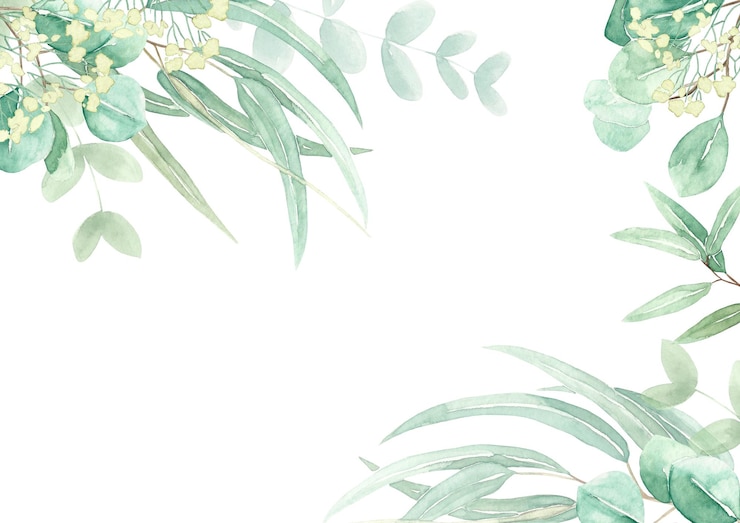 Photo 緑のユーカリの枝と葉を描いた水彩の花のイラスト