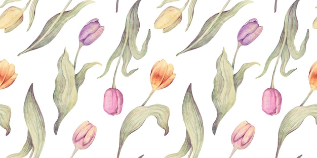 Photo watercolor floral seamless pattern illustration of blossom pink yellow purple tulip colorful flowers