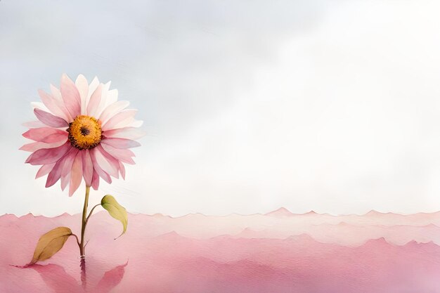 watercolor flower border background